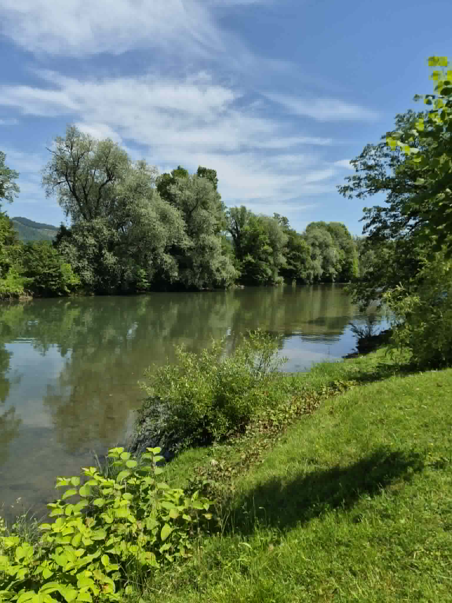 Pogled na reko in zelenje
