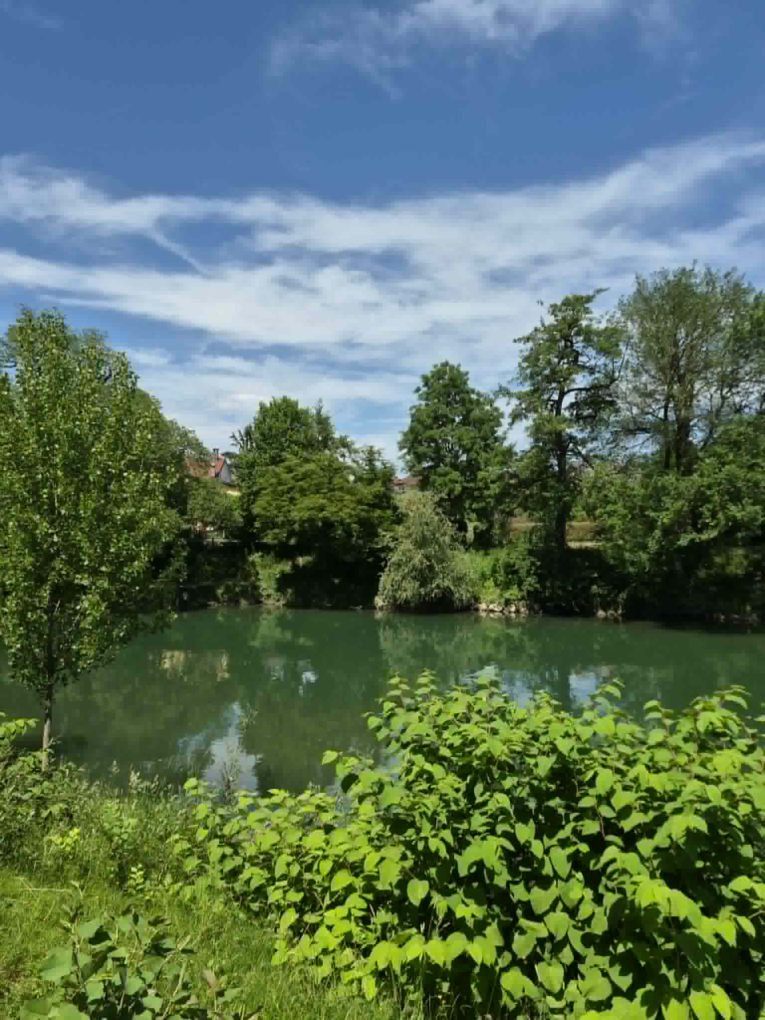 Travnik ob reki